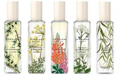 jo malone nettle and wild achillea